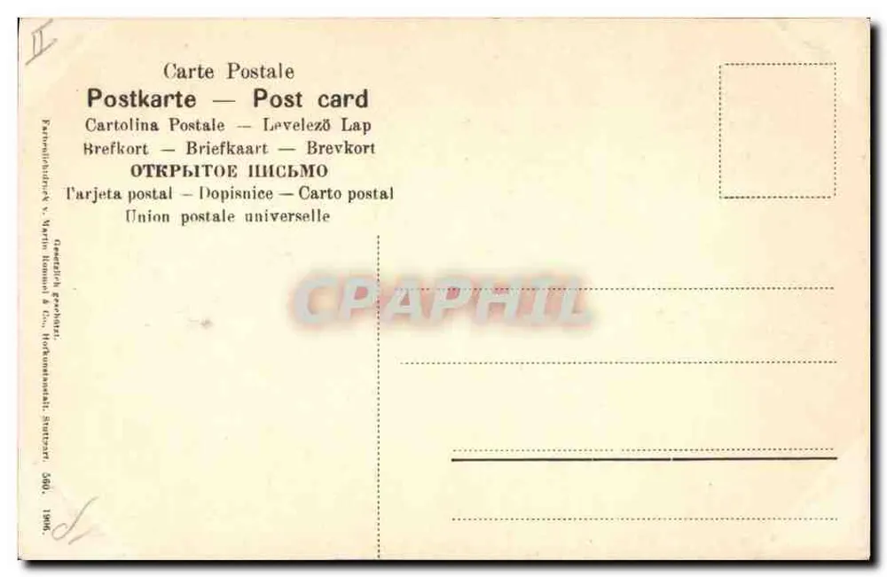 Violetas — ilustração — União Postal Universal, n° 560 - Verso