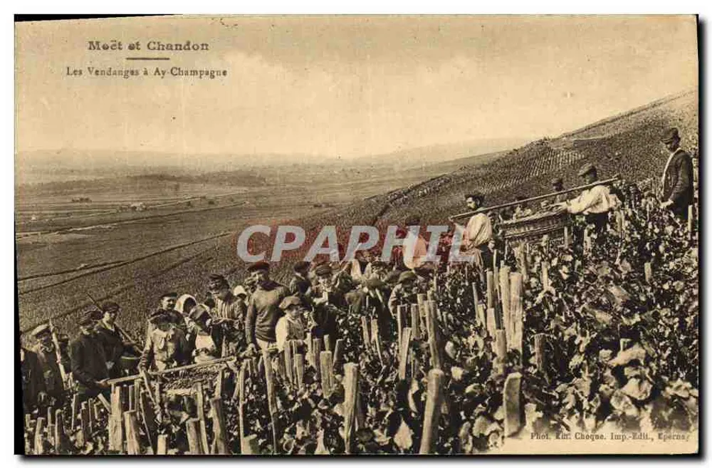 Die Weinlese in Ay-Champagne — Meoût et Chandon — Foto. Kir. Choque. Verlag. Epernay - Vorderseite