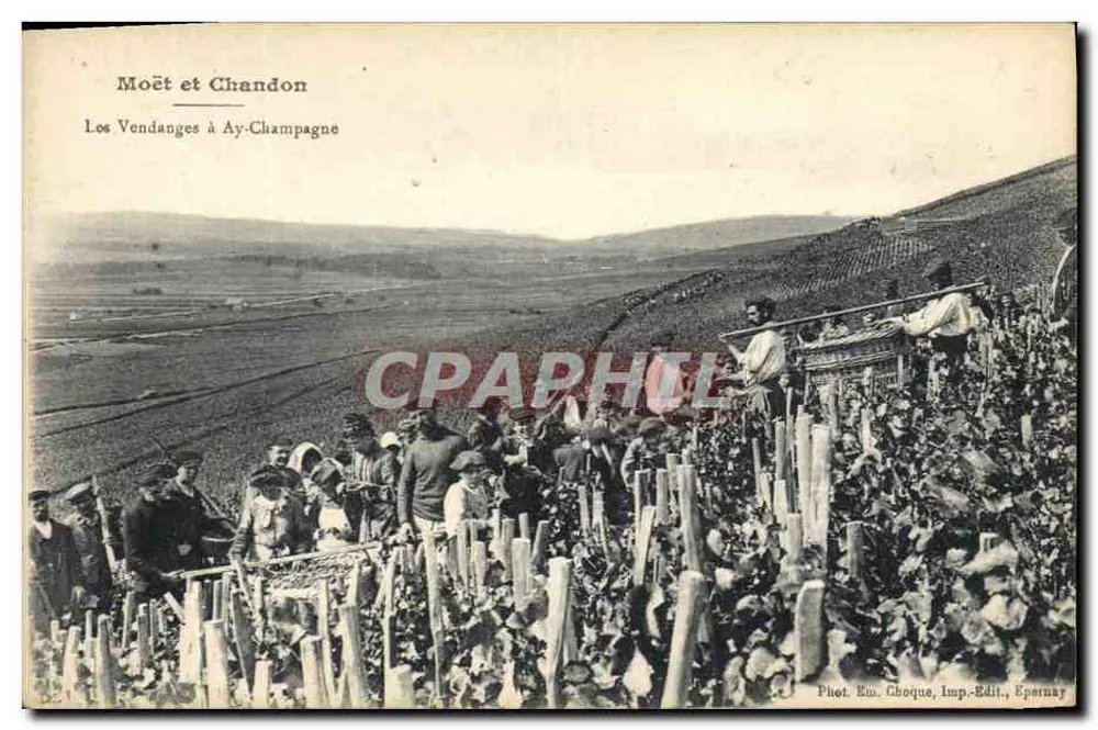 Die Weinlese in Ay-Champagne — Moët & Chandon — Foto. Em. Choque, Verlag. Epernay - Vorderseite