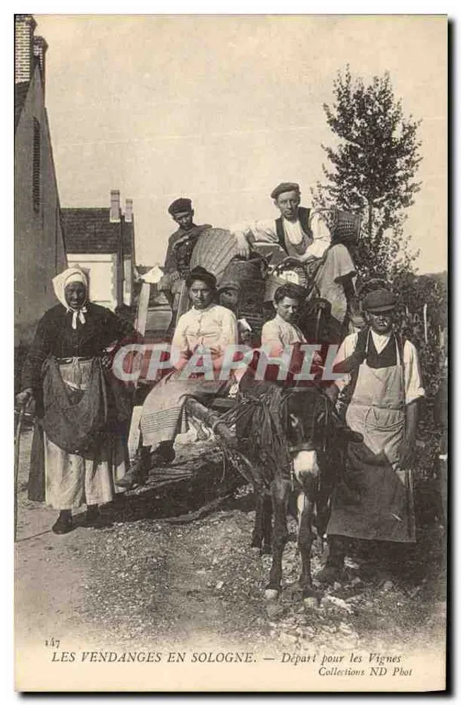 Die Weinlese in der Sologne — Aufbruch zu den Weinbergen — Sammlung ND Phot - Vorderseite