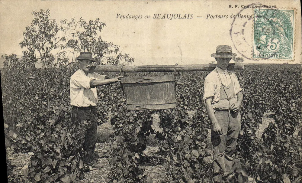 Ernte in Beaujolais — Lastenträger — B. F. Chalon-saône - Vorderseite