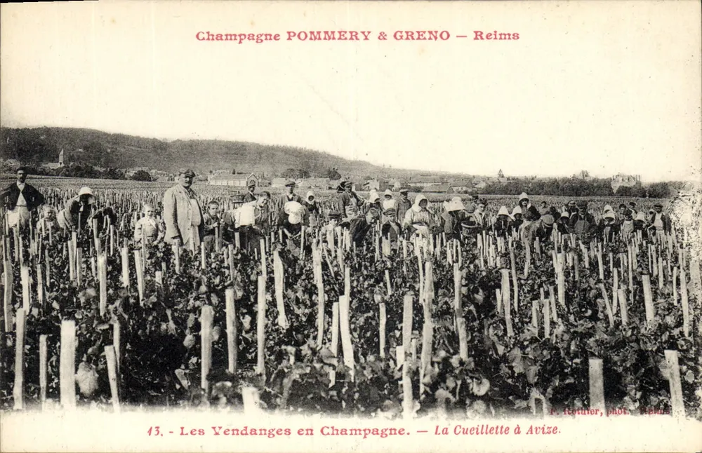 Die Weinlese in der Champagne — Die Ernte in Avize — P. Rotinier, Foto. Reims - Vorderseite