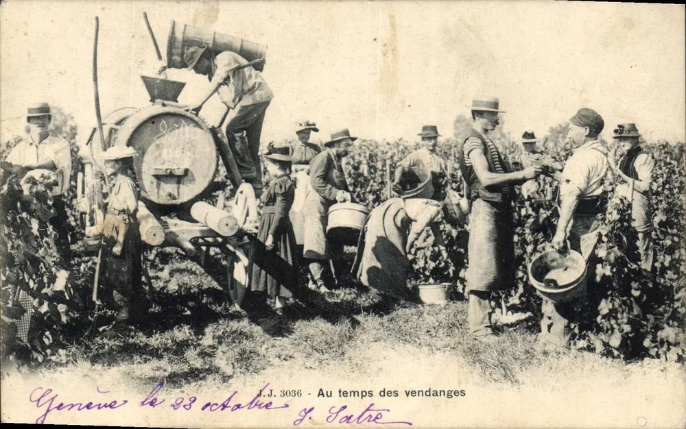 Vendanges em Genebra — J.J. 3036 — edição Jullien frères, Genebra - Frente