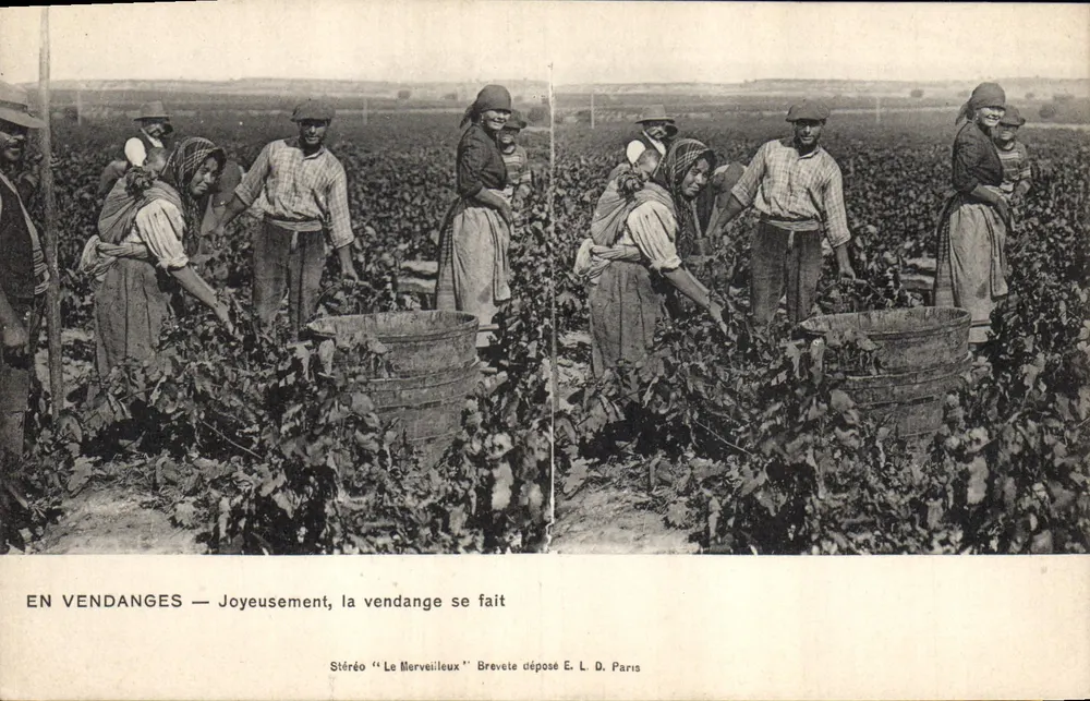 Bei der Traubenlese — Freude, die Ernte findet statt — Stereo 'Le Merveilleux' patentiert E. L. D. Paris - Vorderseite