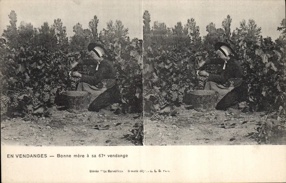 Em Colheita — Bonne mère na sua 67ª colheita — Stéréo Le Merveilleux, Brevete dépôt E. L. D. Paris - Frente