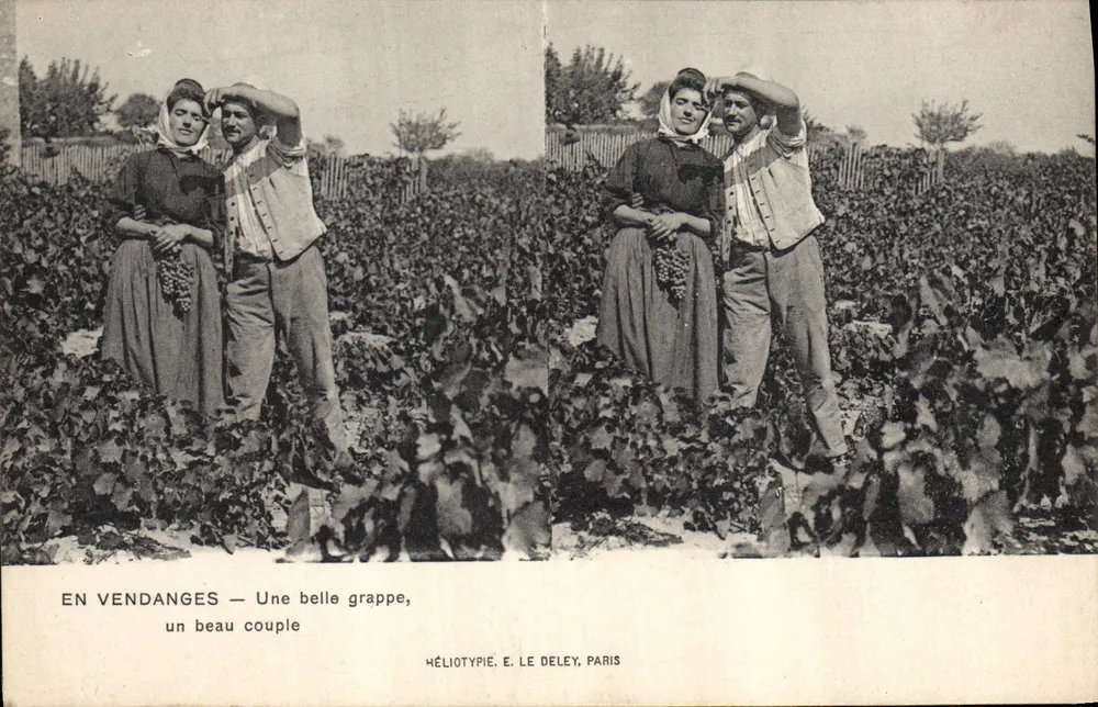 Em Colheita de Uvas — Uma bela buncha, um belo casal — Héliotypie E. Le Deley, Paris - Frente