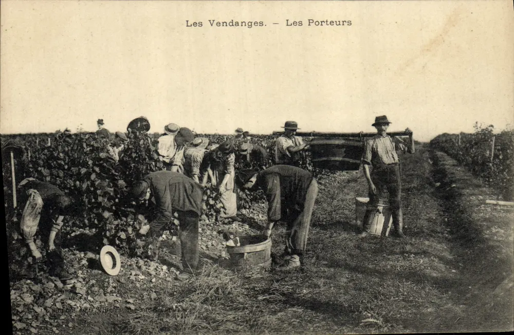 As Colheitas. — Os Transportadores - Frente