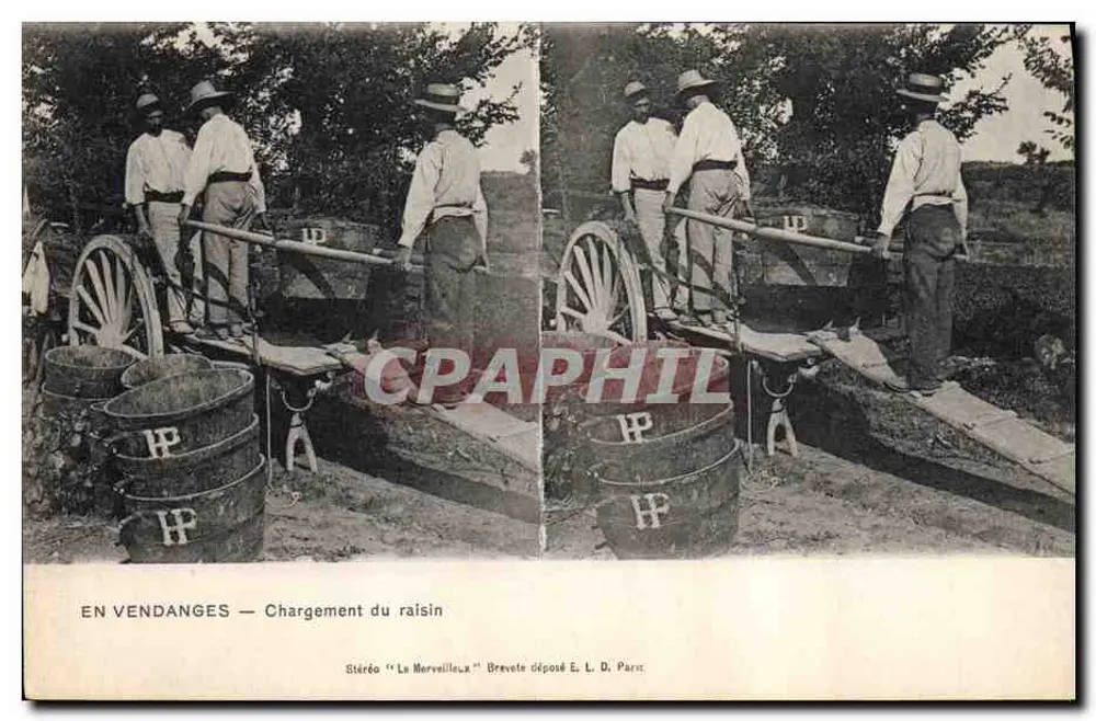 Colheita — Carregamento da uva — Estereoscópica 'La Merveilleux' Brevetado depositado E. L. D. Paris - Frente