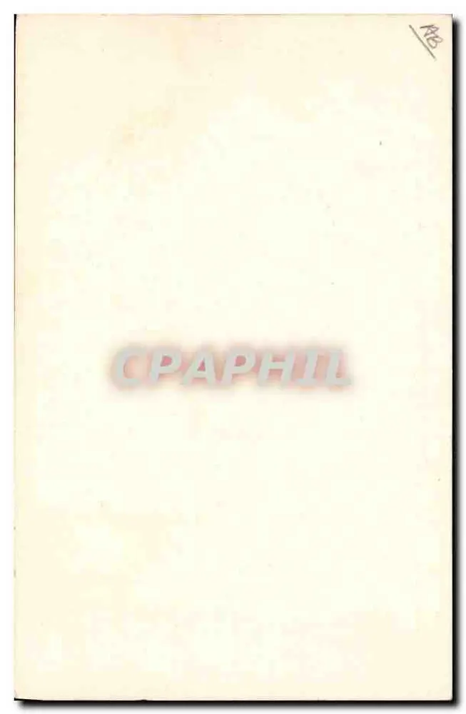 Arranjo de crisântemos — E. Aufrère, 99 Boulevard Magenta, Paris - Verso