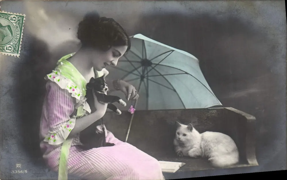 Junge Frau mit zwei Katzen — Innenraum-Szene — Verlag R, n° 3356/5 - Vorderseite