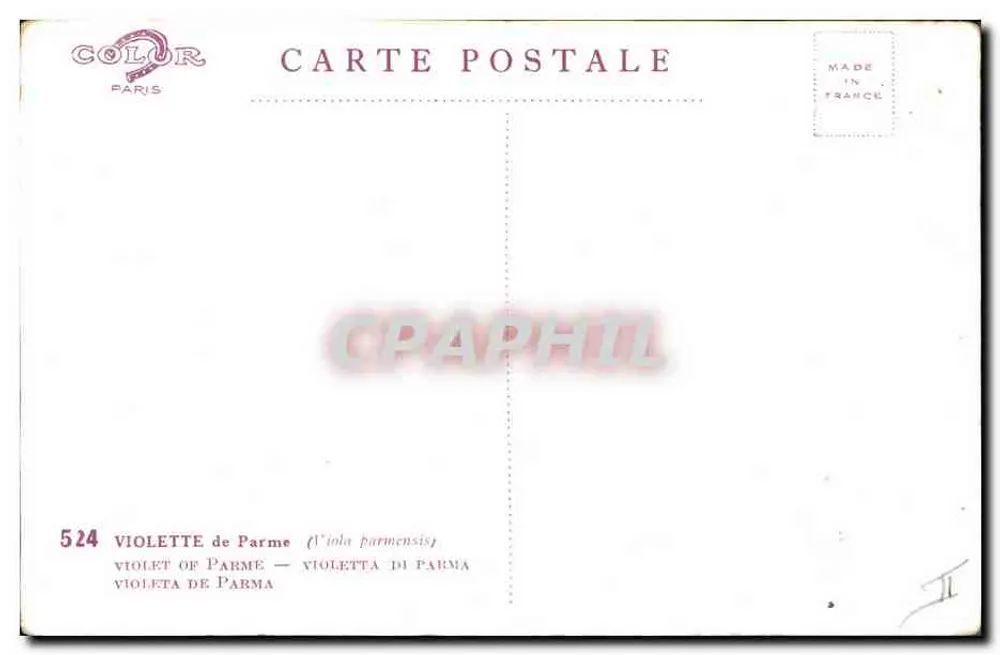 Violetas de Parma — (Viola parmensis) — Color, Paris, n° 524 - Verso