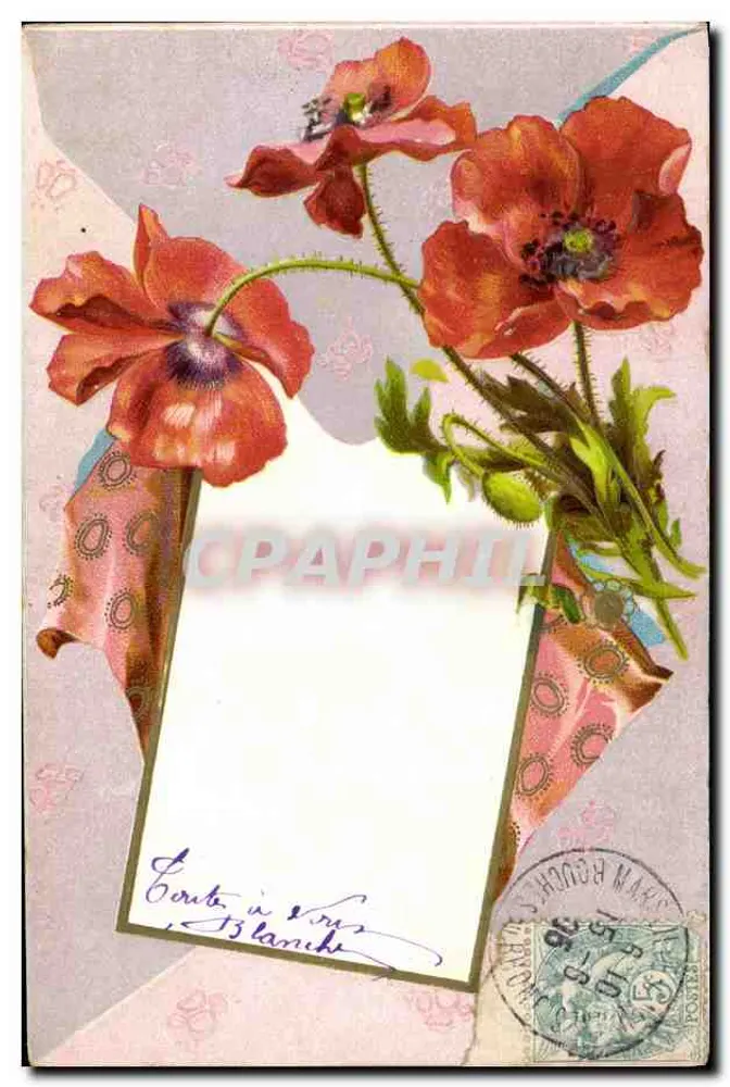 Flores de papoula — carta postal multilíngue — editor não identificado - Frente