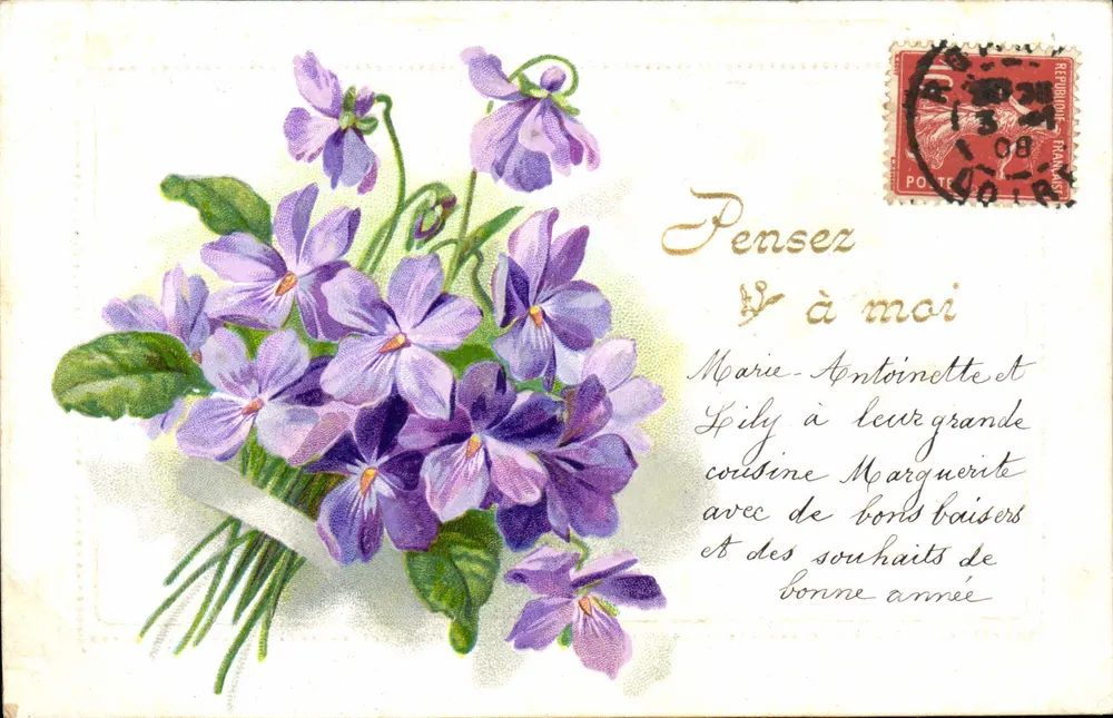 Arranjo de violetas — Pense em mim — editor não visível - Frente