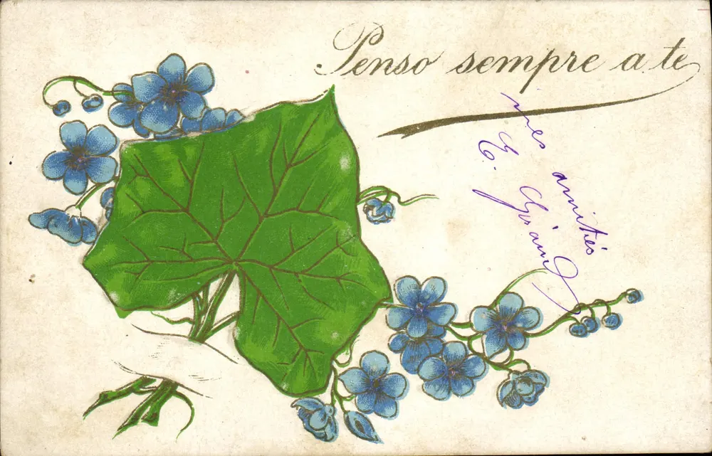 Flores azuis e folha verde — texto italiano e assinatura - Frente