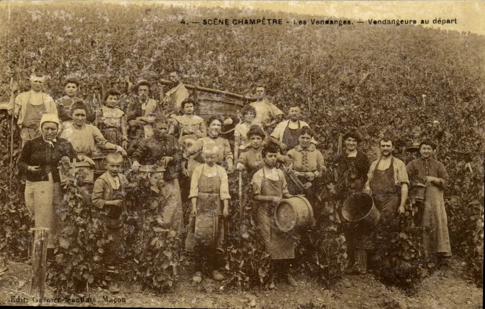 Escena Campestre - Las Vendimias - Vendimiadoras en Partida — Edit. Garnier-Beaudrats Maçon - Anverso