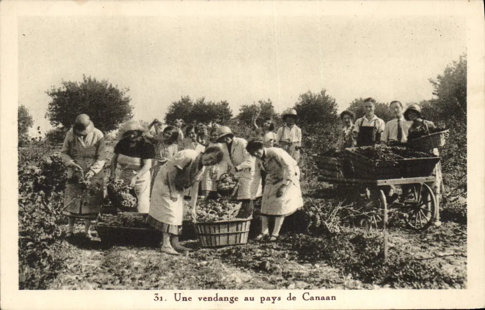 Uma colheita de uvas no país de Canaã — 31. — Editor não visível - Frente