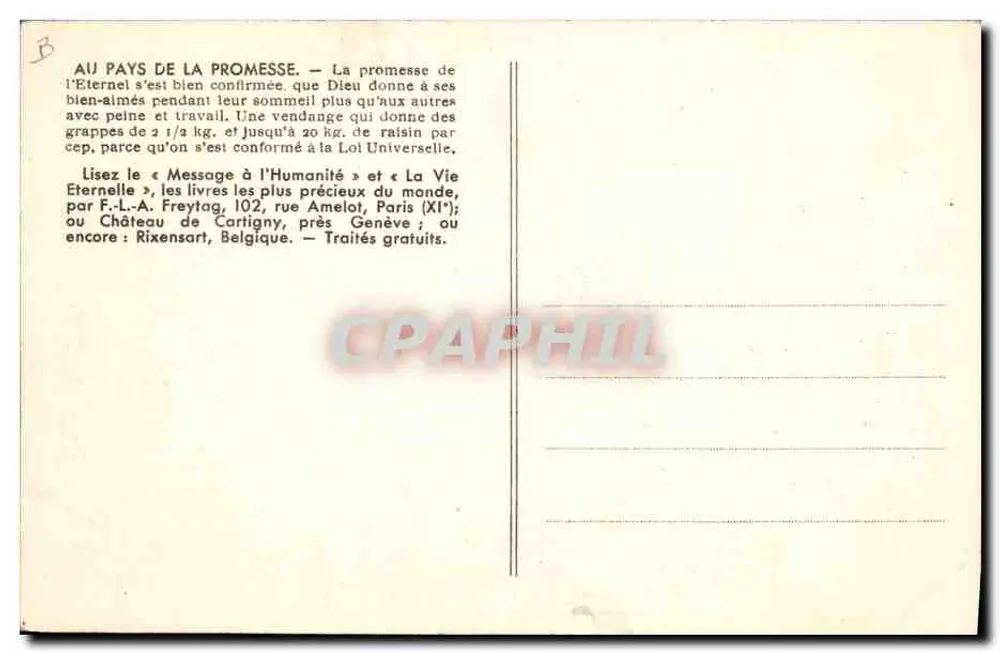 Uma colheita de uvas no país de Canaã — 31. — Editor não visível - Verso