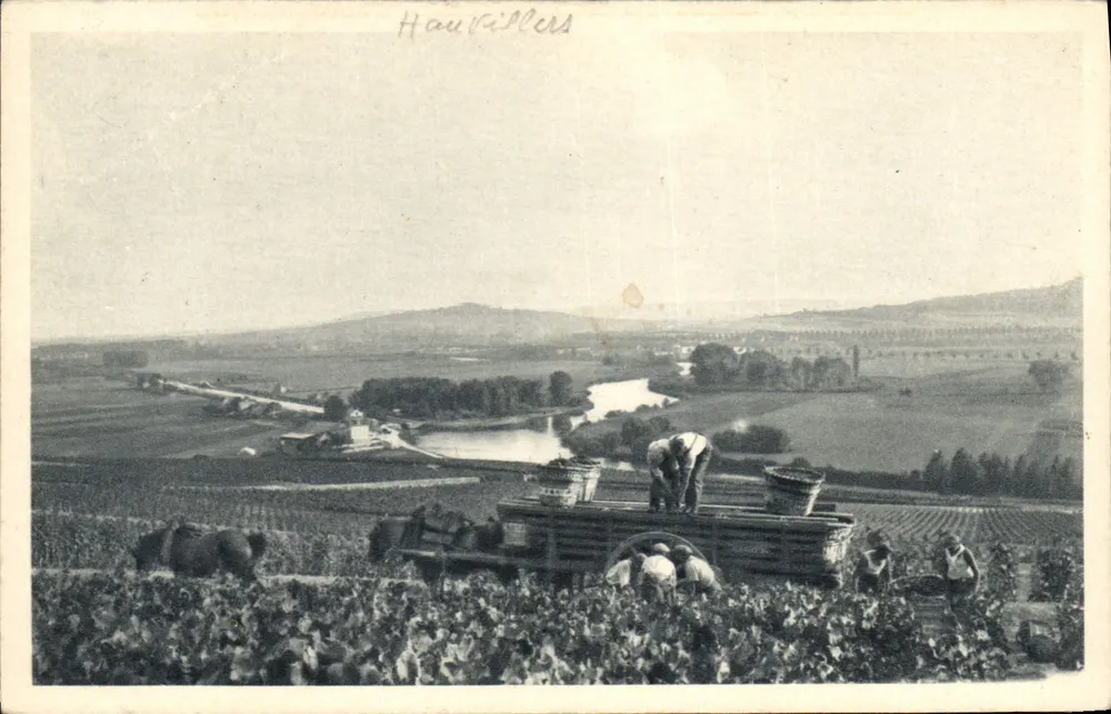 Scène de vendange à Hautvillers — vue panoramique avec vignes et rivière — éditeur A. Breuer, Cachan (Seine) — n°3 - Vorderseite