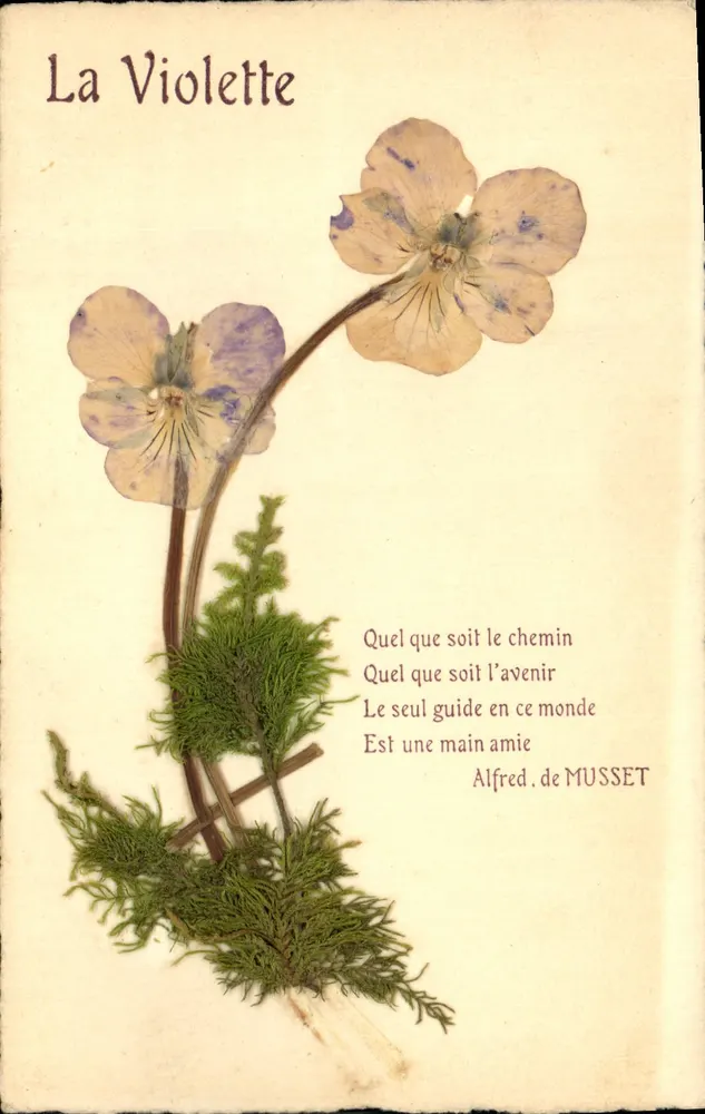 A Viola — poema de Alfred de Musset — editor TH. L. (marca registrada) - Frente