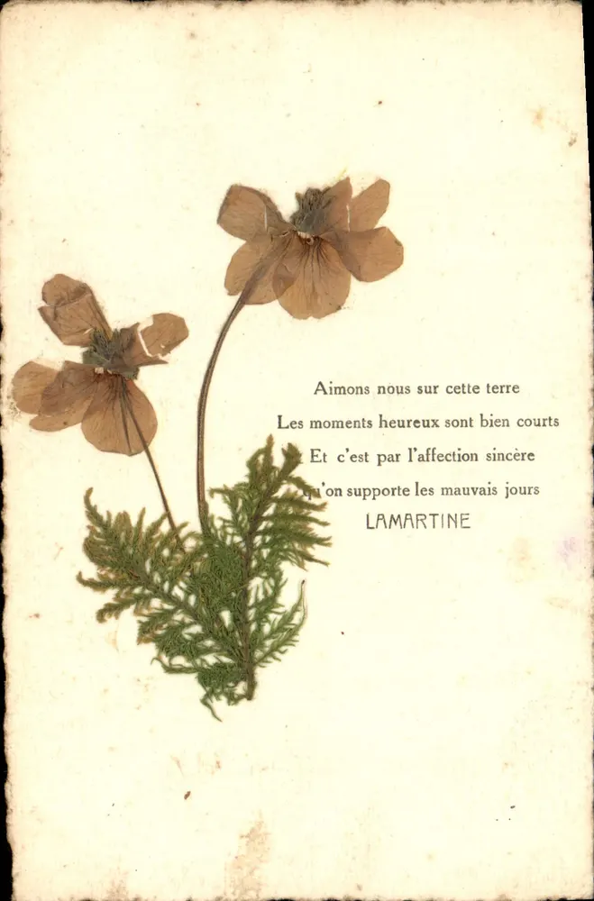 Flores secas e poema de Lamartine — sem editor ou número visível - Frente