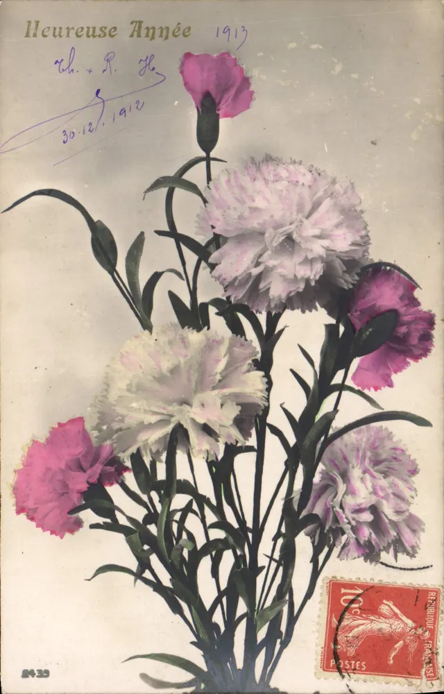 Bouquet de margaridas — 1913 — Editor desconhecido, n° 8439 - Frente