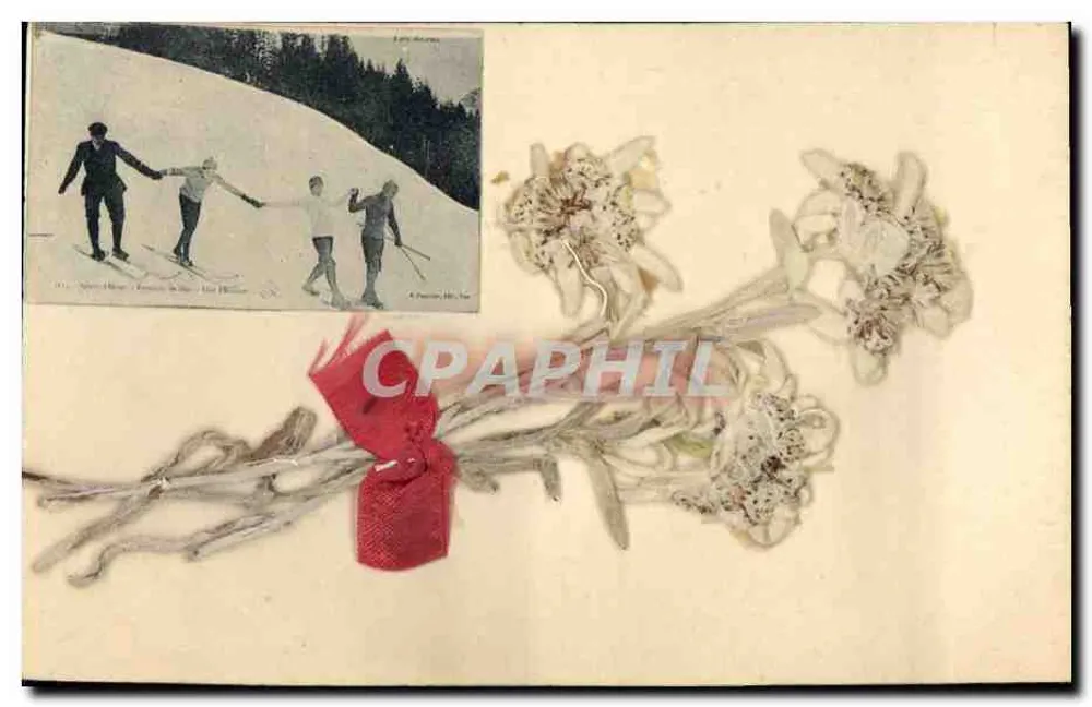 Esqui em Chamonix — Editor A. Poncelet, N° 10 — com buquê de flores secas - Frente