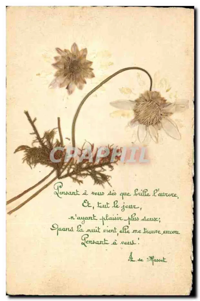 Verdroogde bloemen — Poème van Alphonse de Musset — Antieke ansichtkaart - Voorkant