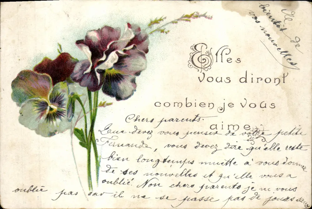 Pansées — Carta postal com texto impresso e manuscrito — Union postale universelle - Frente