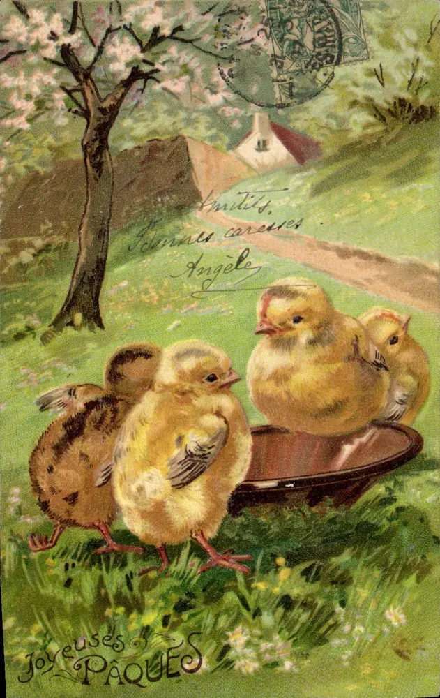 Poussins — Páscoa — Relief m. Goldtiefdruck No. 5804 - Frente