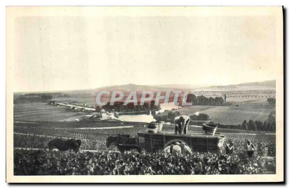 Cena de colheita em Hautvillers — A. Bregor Frères, Imp. Cachan (Seine) — N° 3 - Frente