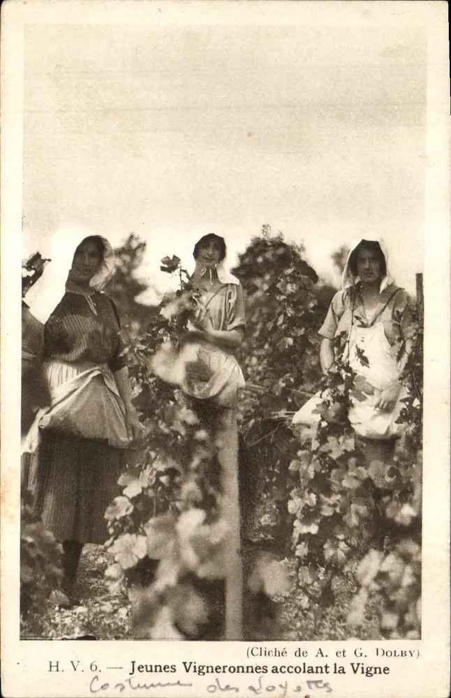 Junge Vignerons, die die Reben pflegen — Kostüme von Joyeuse — Foto von A. und G. Dolby - Vorderseite