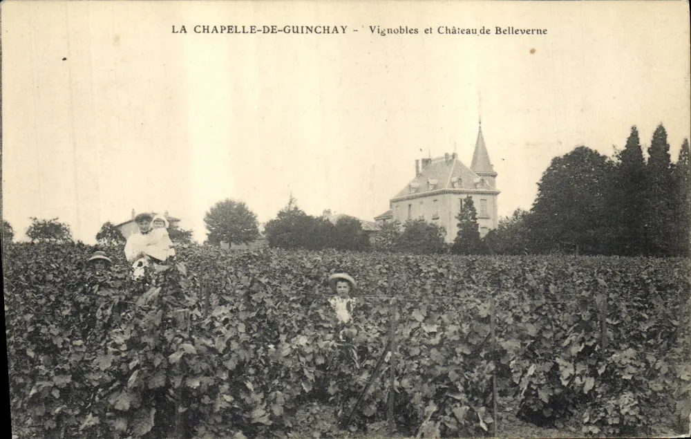 La Chapelle-de-Guinchay — Weinberge und Schloss Belleverne — Verlag unbekannt - Vorderseite