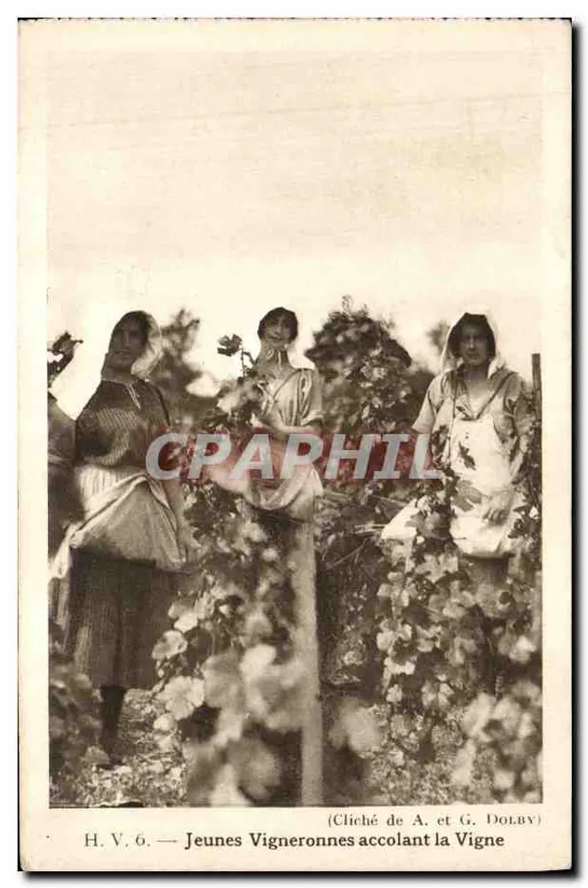 Junge Weinbauern Frauen, die die Reben binden — H.V. 6 — Foto von A. und G. Dolby - Vorderseite