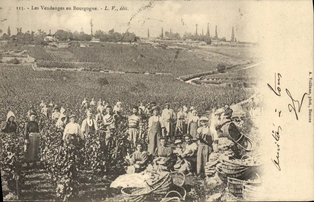As vindimas na Borgonha — L. V., edição — A. Vaillanne, fotografia, Beaune - Frente