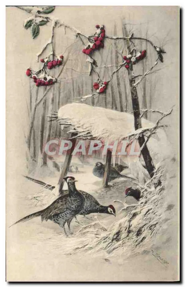 Galos de madeira na neve — cena invernal — editor M. M. Vienne - Frente