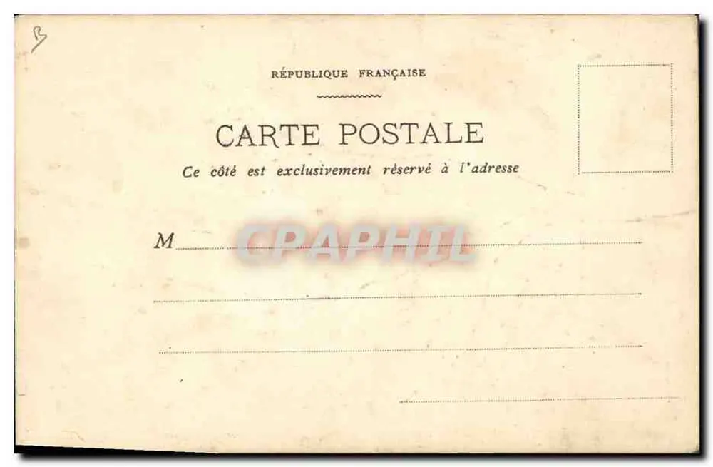Planta marinha seca — amostra botânica — carta postal francesa - Verso