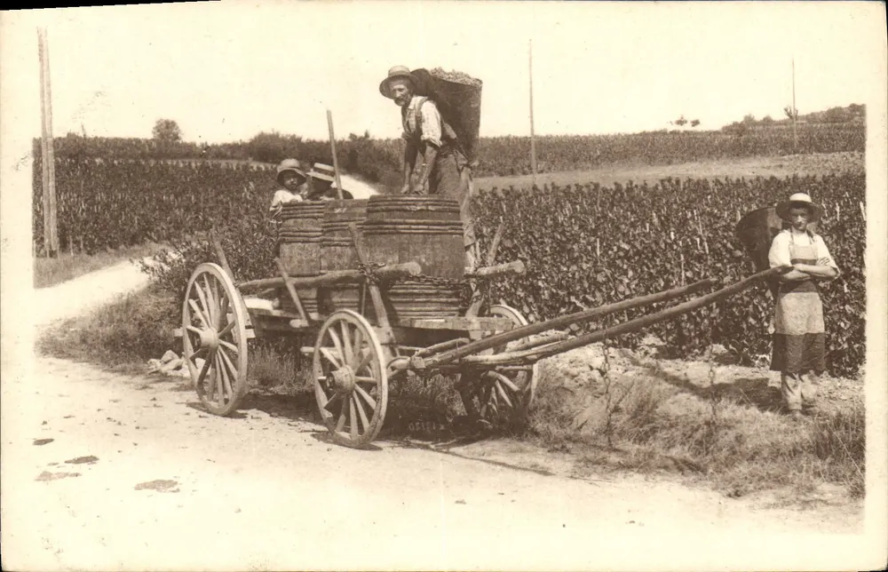 Die Weinlese in der Burgund — La Holte pleine — IMP. BOURGOGNE-CHALON-S-SAÔNE - Vorderseite