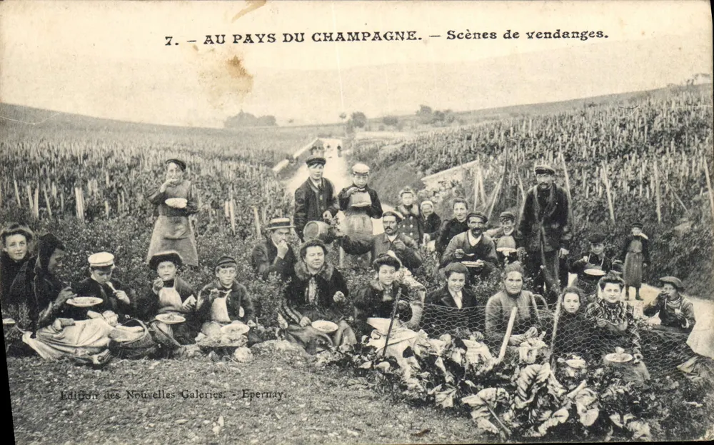 No País do Champagne — Cenas de colheita — Edição das Novas Galerias, Epernay - Frente