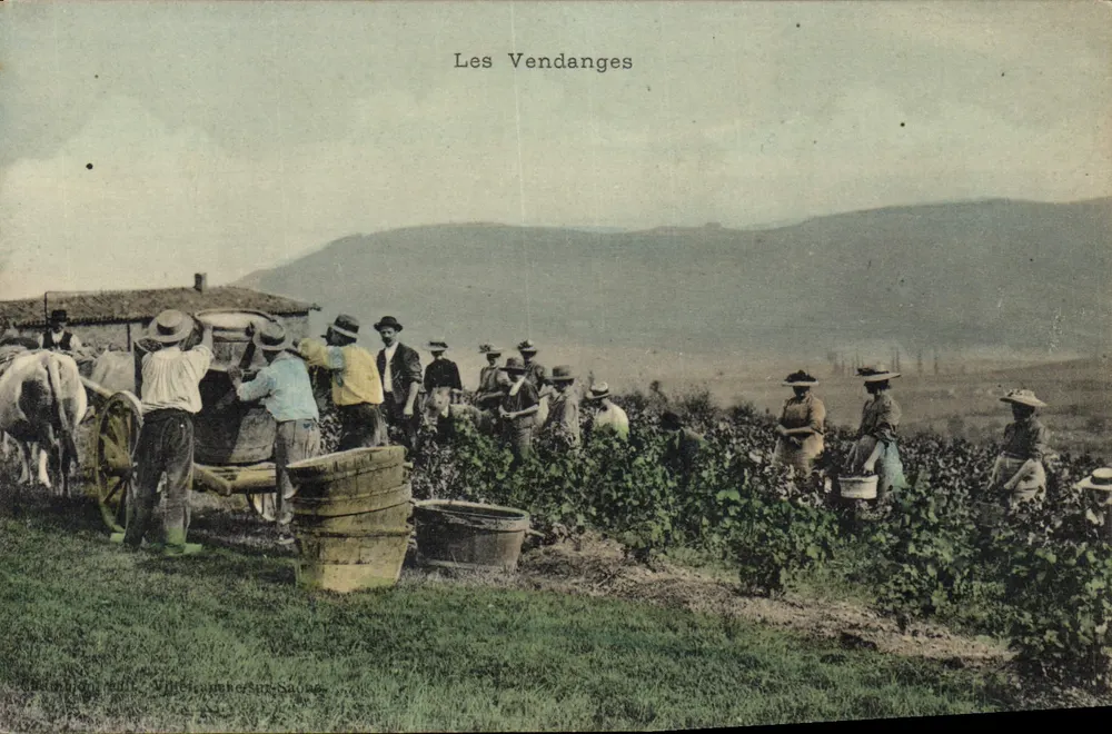 As Colheitas — Villeréal-sur-Saône — Editor anônimo, número de série não visível - Frente