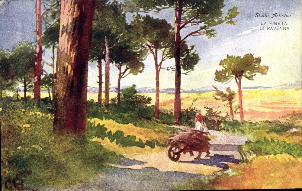 A Pineta de Ravenna — paisagem florestal com carrinho de mão — Studii Artistici - Frente