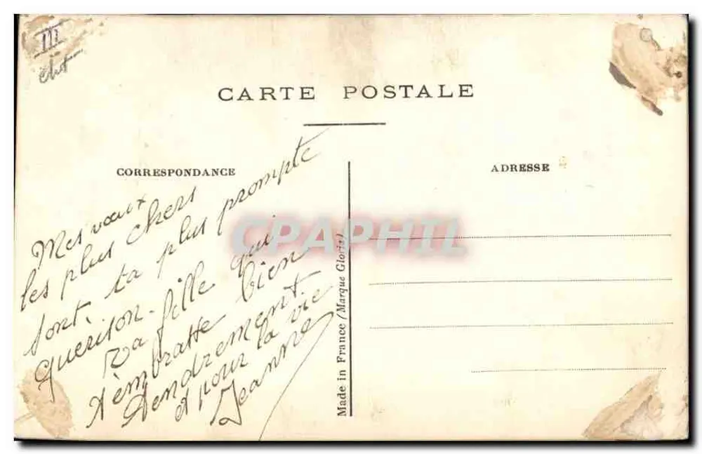 Arranjo de violetas — Feliz aniversário — Carta postal - Verso