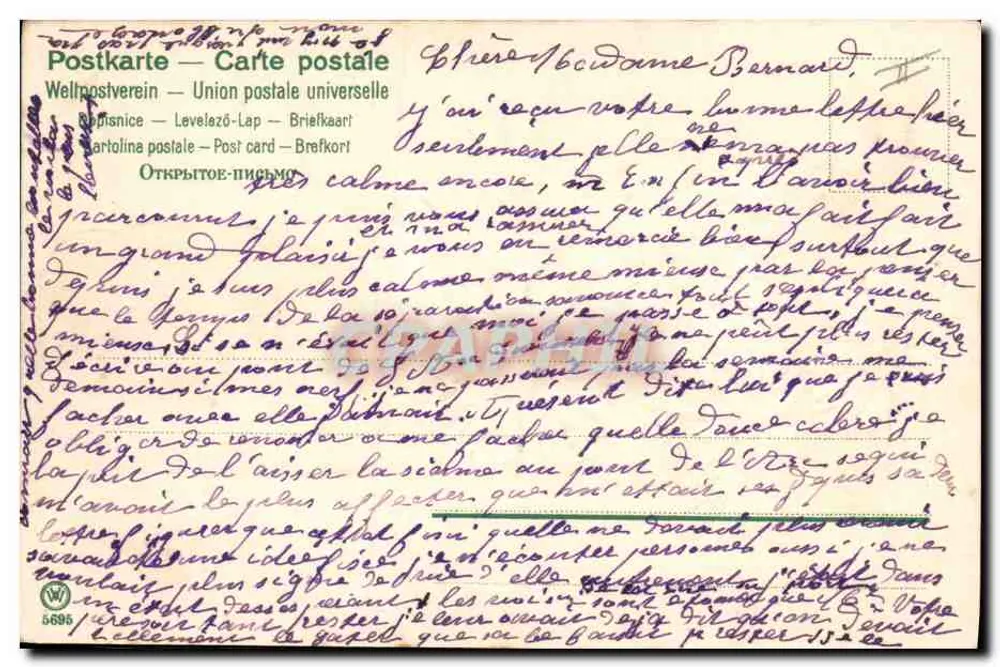 Flores de margaridas — em um vaso verde — editor Malick - Verso