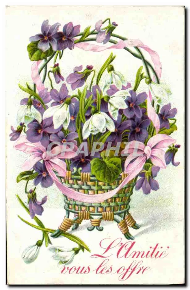 Arranjo de violetas e flores de laranjeira — A Amizade as oferece — editor não visível - Frente