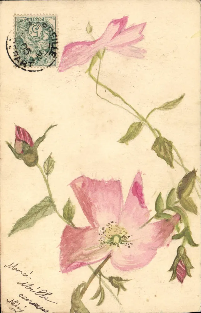 Rosa Blumen — Aquarellzeichnung — Französische Ansichtskarte - Vorderseite