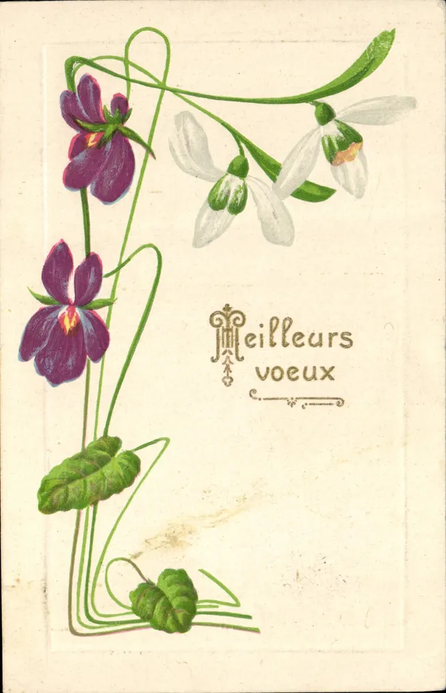 Flores — violetas e salgueiros — carta postal francesa - Frente