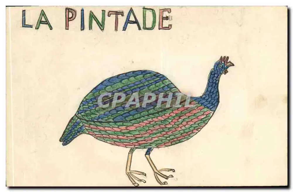 Die Pintade — farbenfroher Vogel — Verlag nicht sichtbar - Vorderseite