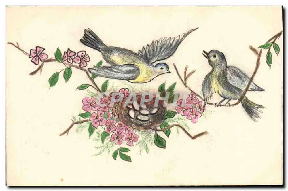 Vögel und Nest in einem blühenden Kirschbaum — farbige Illustration — kein Verlag oder Nummer sichtbar - Vorderseite