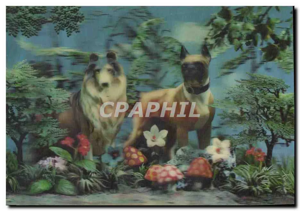 Dois cães em um jardim — edição Visiomalic Paris — n° II - Frente