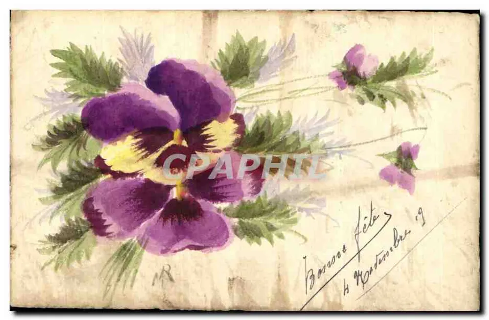 Violette Vergissmeinnicht-Blüten — Aquarellzeichnung — Verlag Carte Postali - Vorderseite