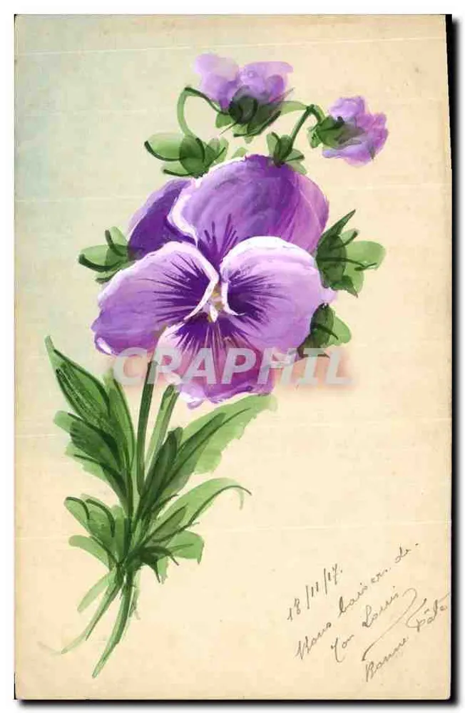 Violette — Aquarellzeichnung — unbekannter Verleger, Seriennummer nicht sichtbar - Vorderseite